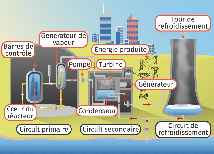 Pour S Chauffer Pour Commencer Lelivrescolaire Fr