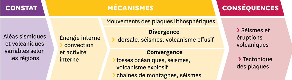 Schéma représentant trois étapes : 1- le constat = Aléas sismiques et volcaniques variables selon les régions ; 2 - les mécanismes = Energie interne : convection et activité interne, Mouvement des plaques isthosphériques, Divergence : Dorsale, séismes, volcanisme effusif, Convergence : fosses océaniques, séismes, volcanisme explosif, chaines de montagnes, séismes ; et 3 - les conséquences : séismes et éruptions volcaniques, tectonique des plaques