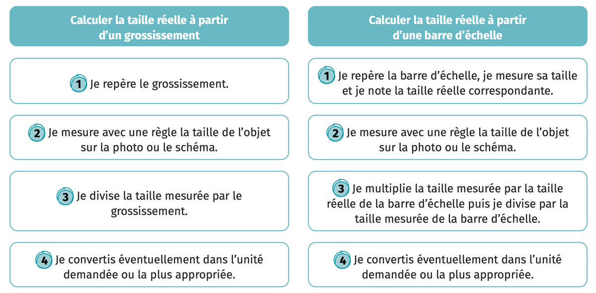 Je calcule la taille réelle d
