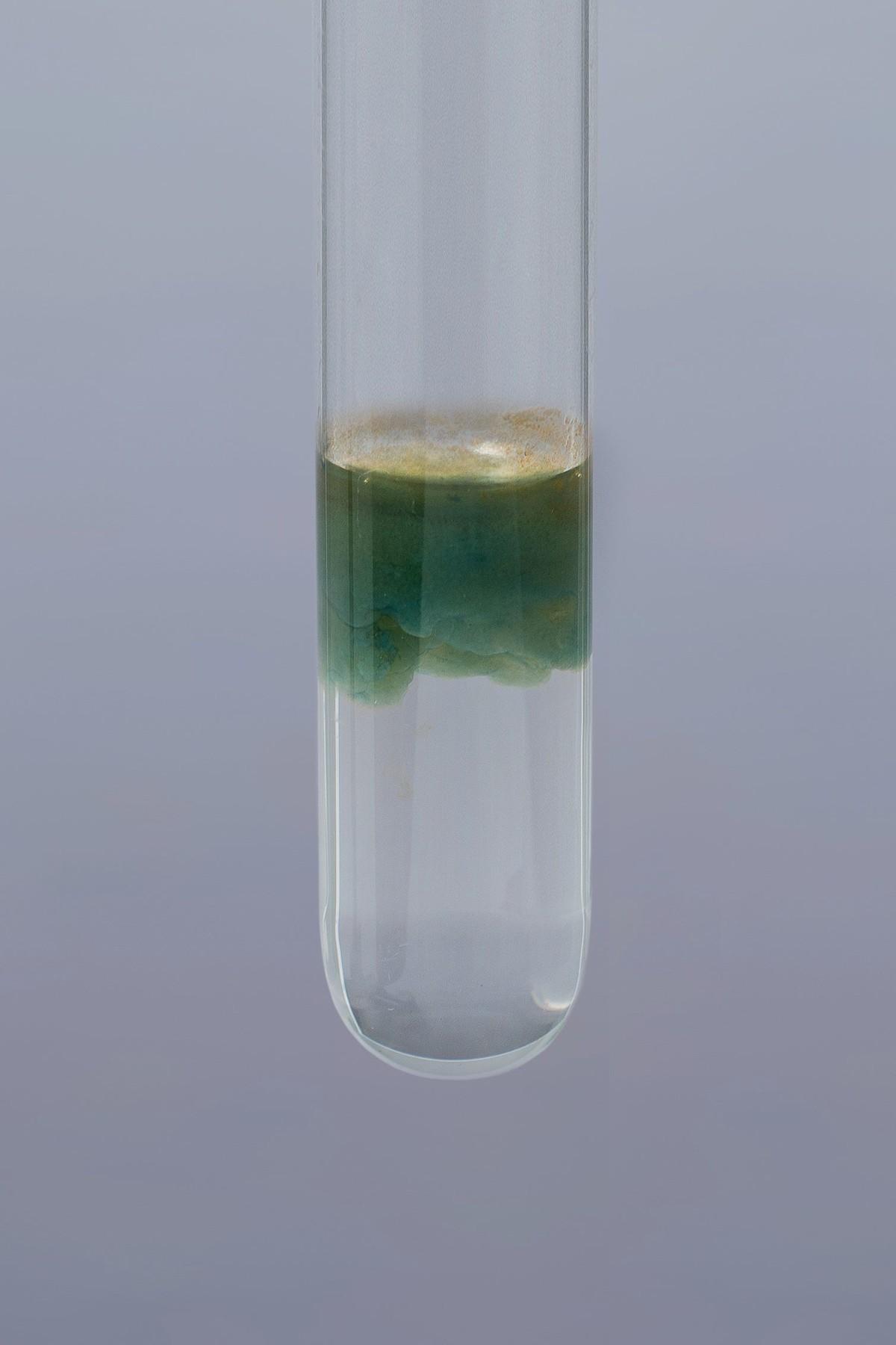 On Place Un Tube A Essai Contenant Un Liquide X Pour s'échauffer - Pour commencer | Lelivrescolaire.fr