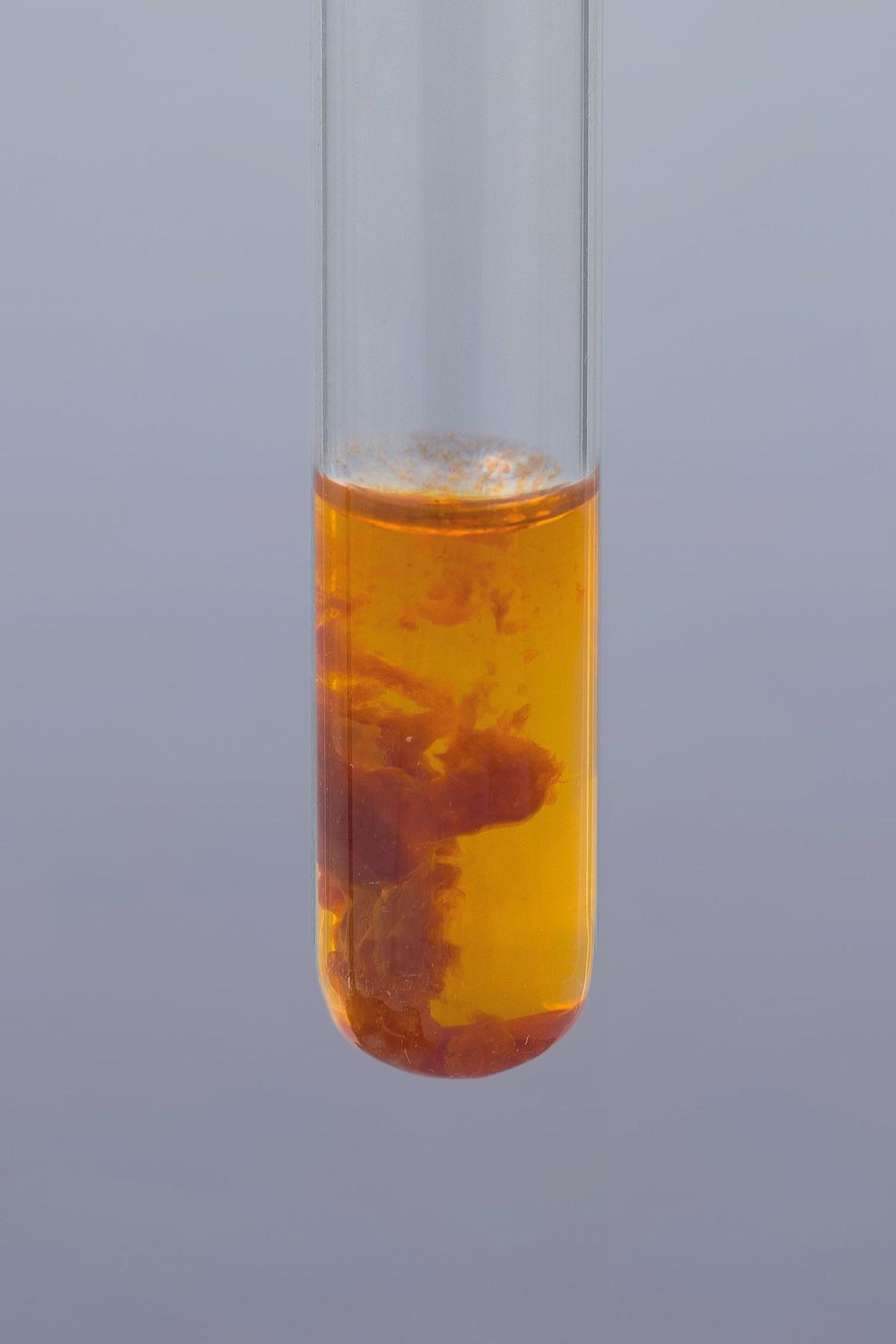 On Place Un Tube A Essai Contenant Un Liquide X Pour s'échauffer - Pour commencer | Lelivrescolaire.fr