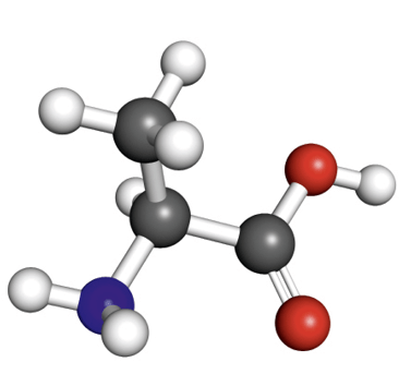 Alanine