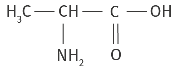 Alanine