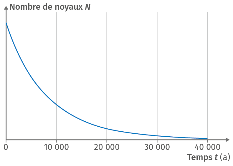 Évolution du nombre de noyaux au cours du temps