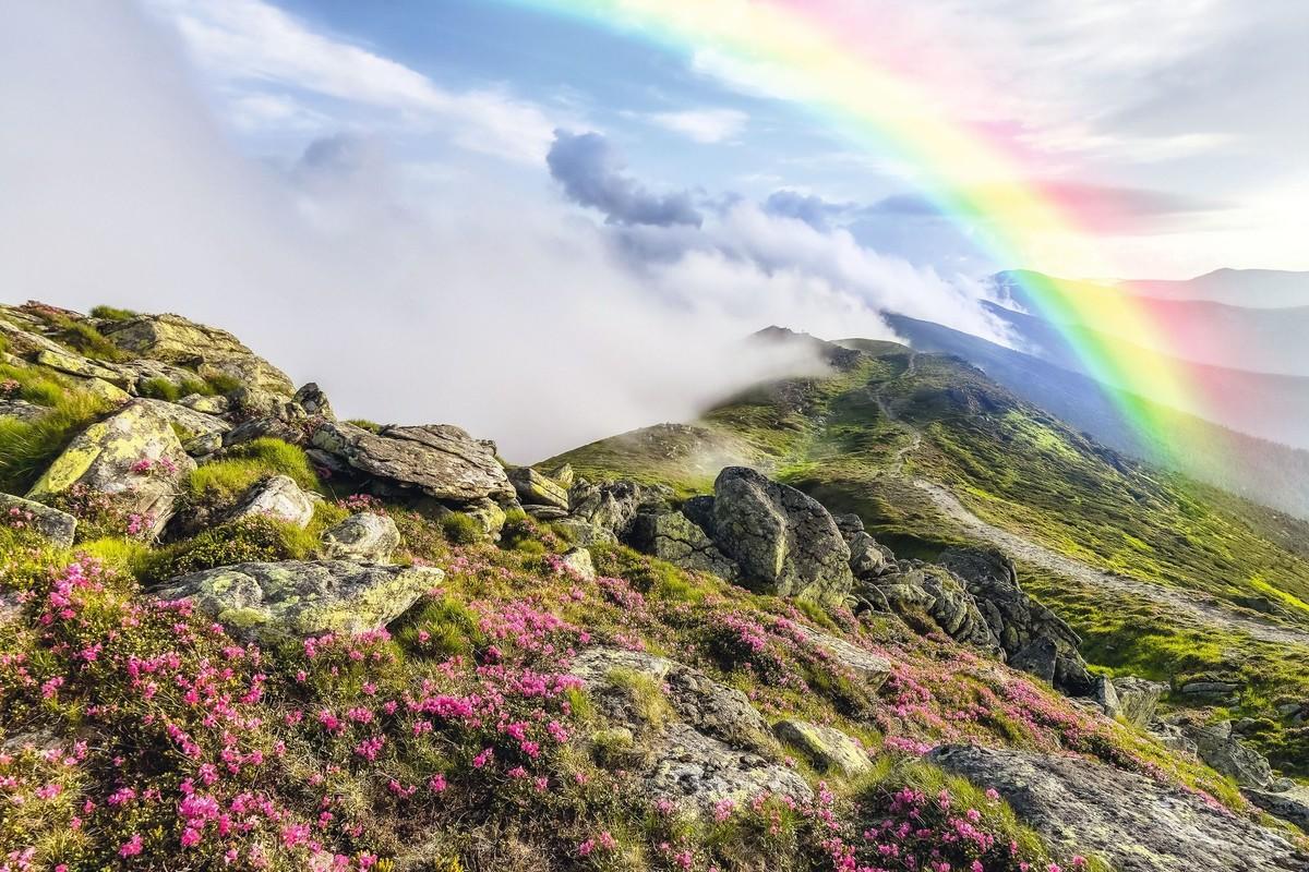 Un arc-en-ciel
