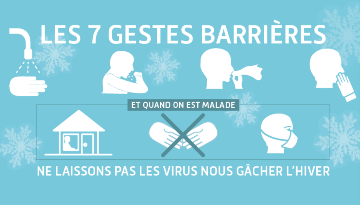 Épidémies et santé publique | Lelivrescolaire.fr