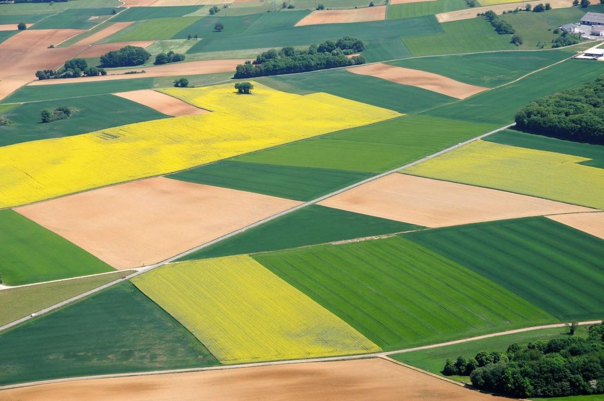 photo de champs agricoles, ouverture de thème