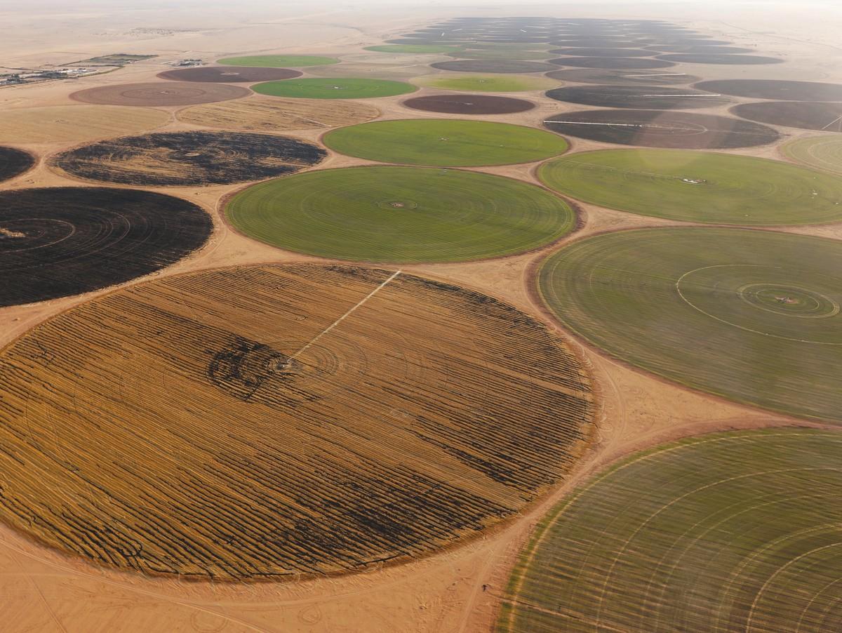 Des champs irrigués dans le désert libyen.