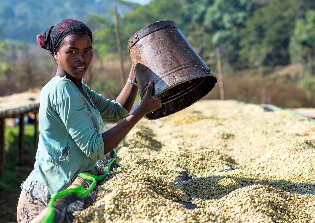 Jimma, Éthiopie