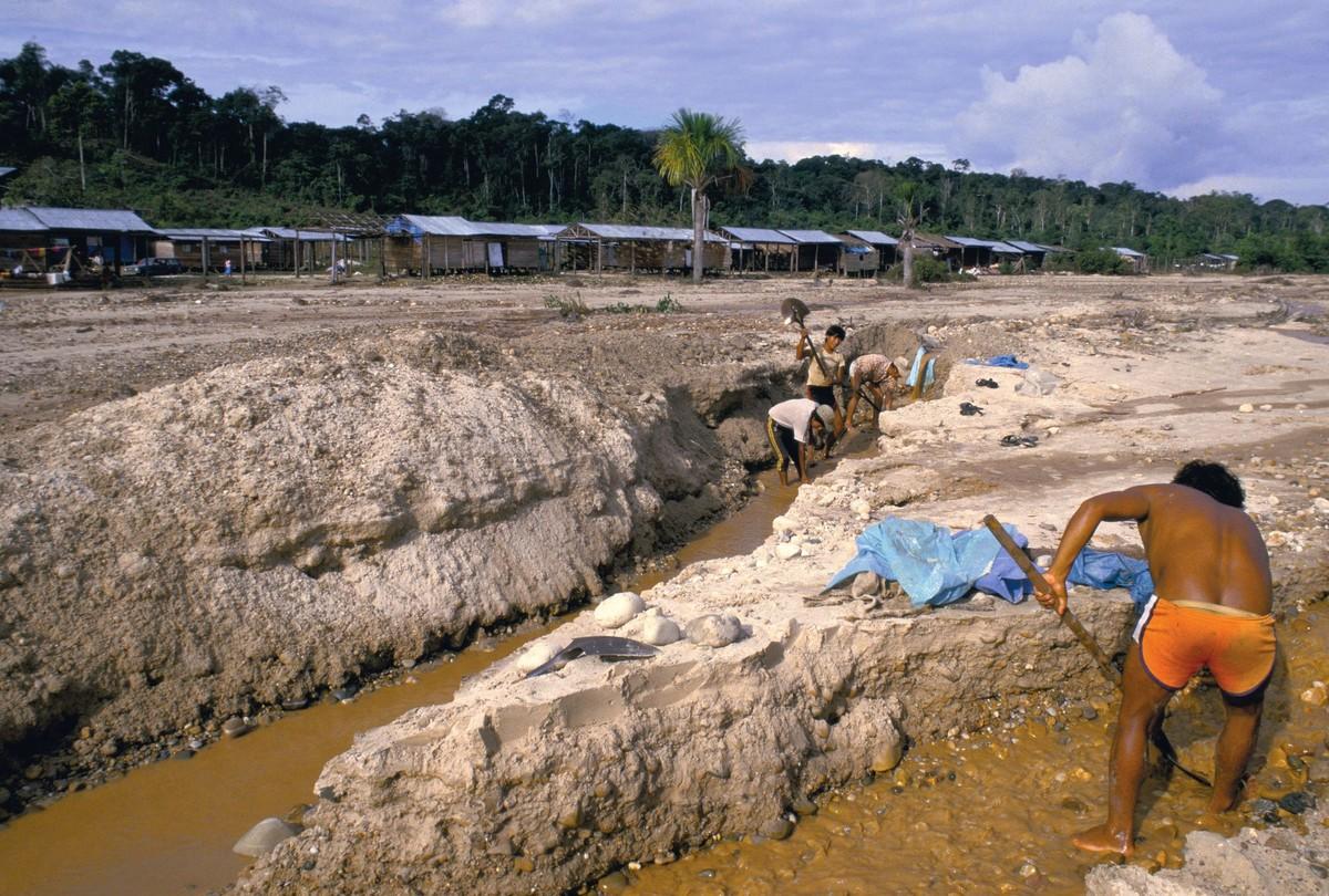 Quelles Formes Prend La Pression Humaine En Amazonie La forêt amazonienne : un environnement fragile soumis aux pressions et aux  risques | Lelivrescolaire.fr