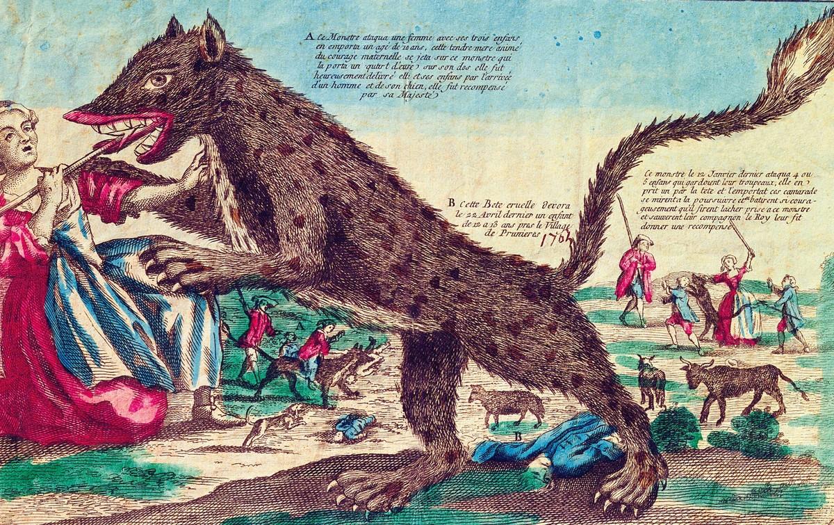 Имя добродушного людоеда. Жеводанский зверь 1764. Бурая гиена Жеводанский зверь. Жеводанский волк людоед.