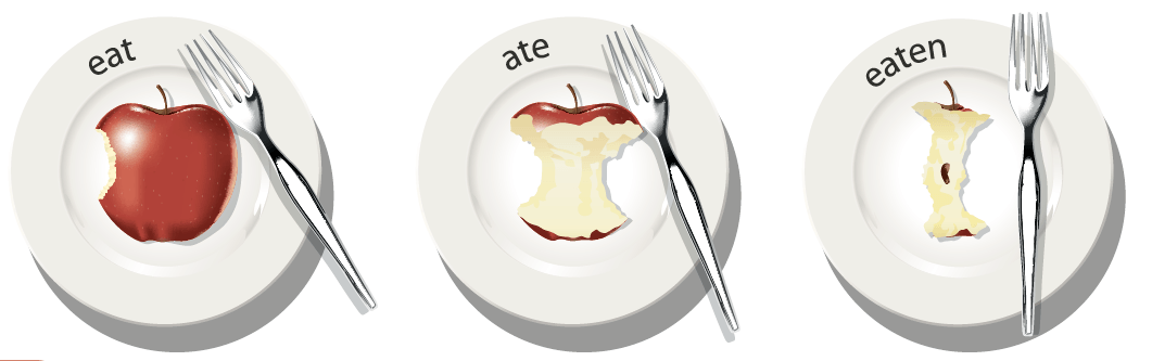 infography irregular verb : eat ate eaten