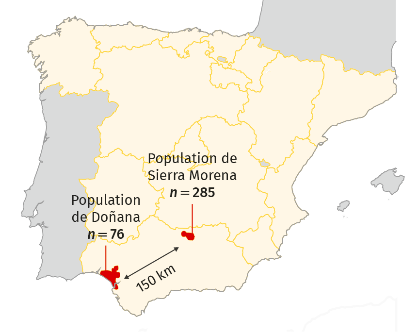 Localisation des populations