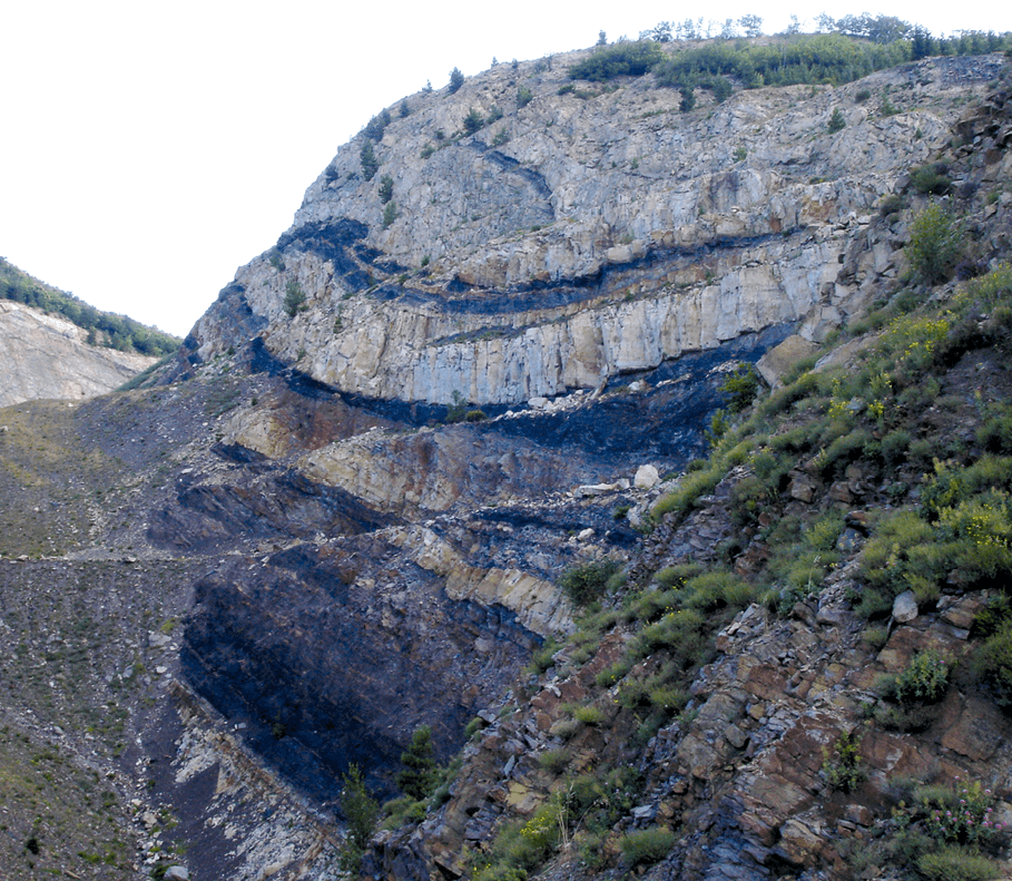 charbon de roches sédimentaires