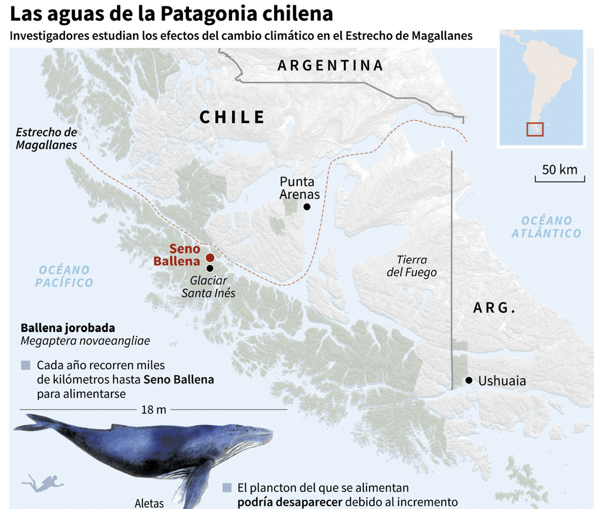 Mapa de la Patagonia chilena donde se señala la ubicación de Seno Ballena, Centro IDEAL/AFP, 2018