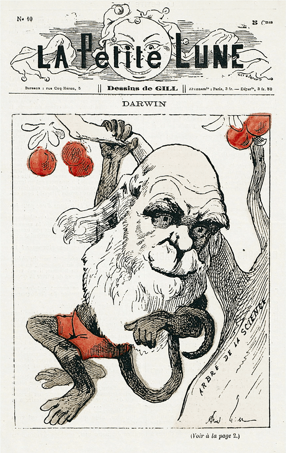 Caricature de Charles Darwin dans le
journal satirique La Petite Lune, 1878.