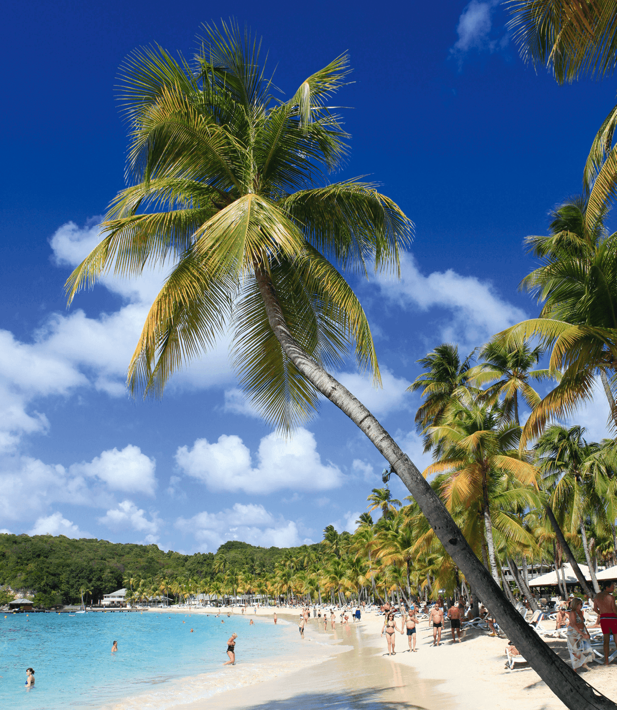 Guadeloupe Quand partir Routardcom