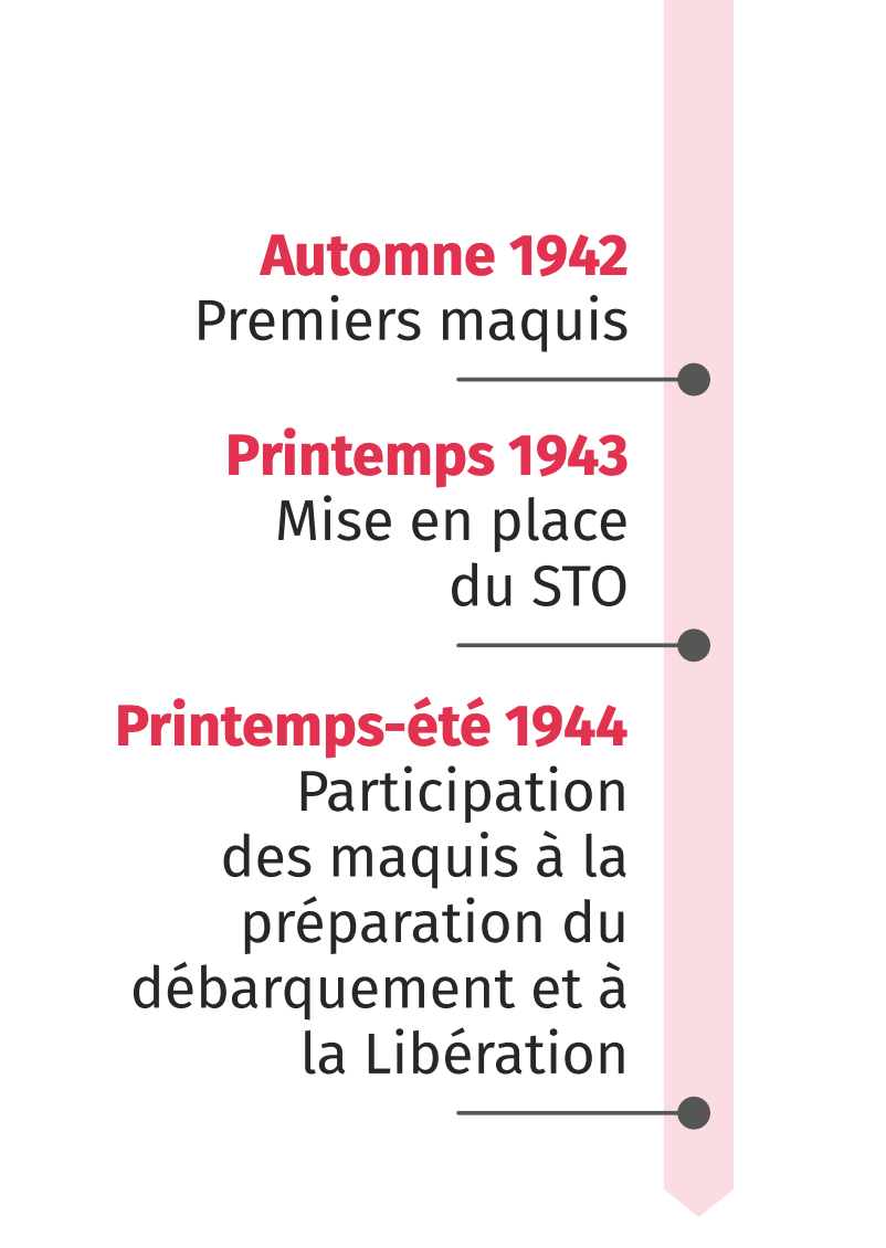 Comment Reconnaitre Une Fausse Carte D identité Française En Schéma Prendre le maquis | Lelivrescolaire.fr