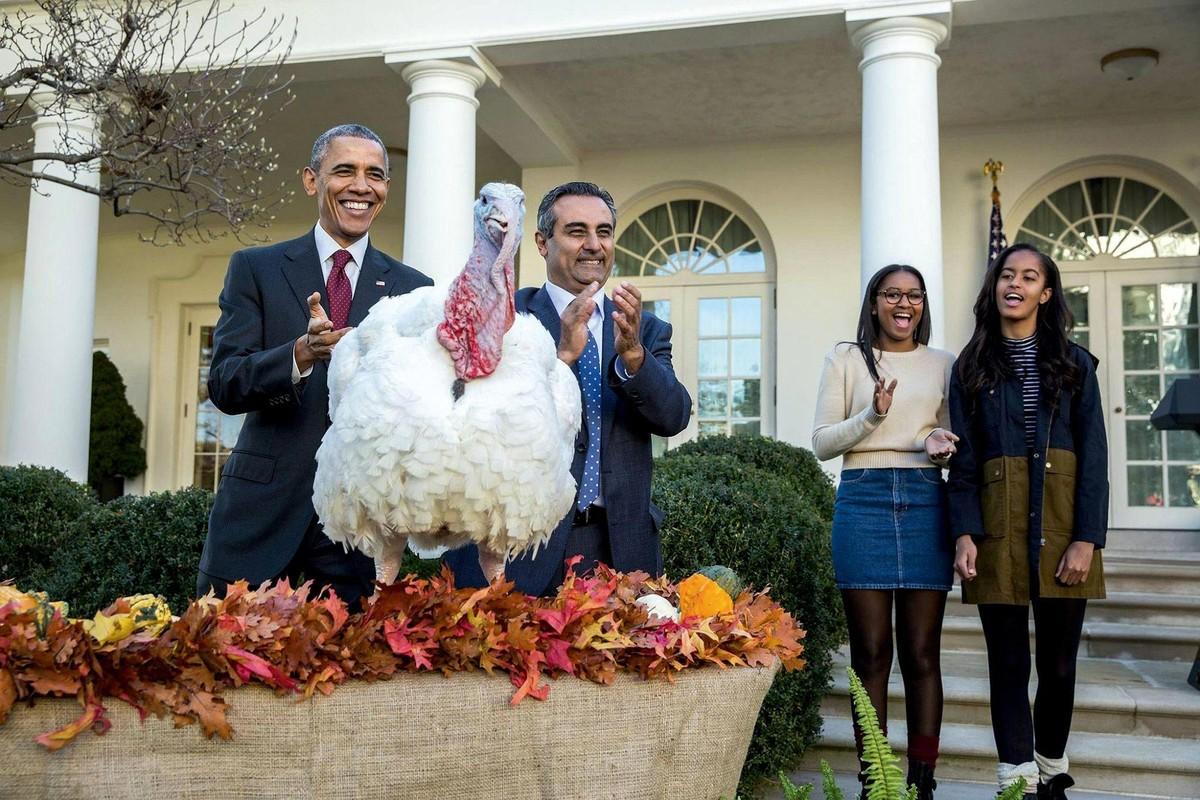 Photographie de Barack Obama, ancien président des Etats-Unis, avec une dinde appelée Abe