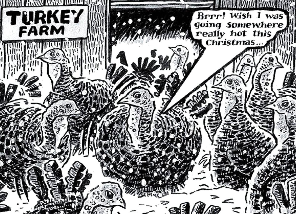 Illustration où un groupe de dinde sort d'une ferme. L'une d'entre elle dit : Brrr! Wish I was going somewhere really hot this Christmas...