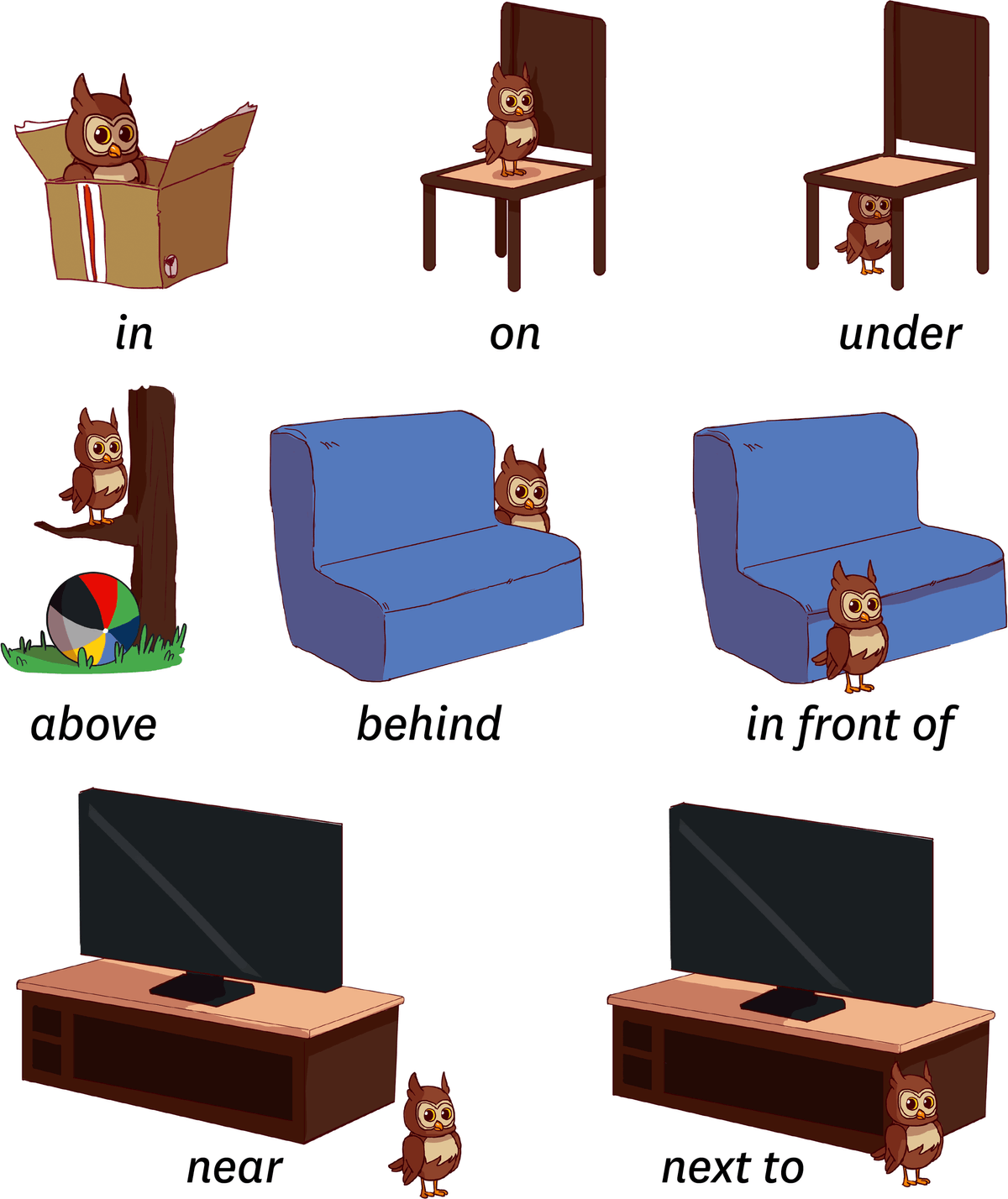 Une chouette sur, dessus, devant, en-dessous, à côté ou proche de plusieurs meubles différents