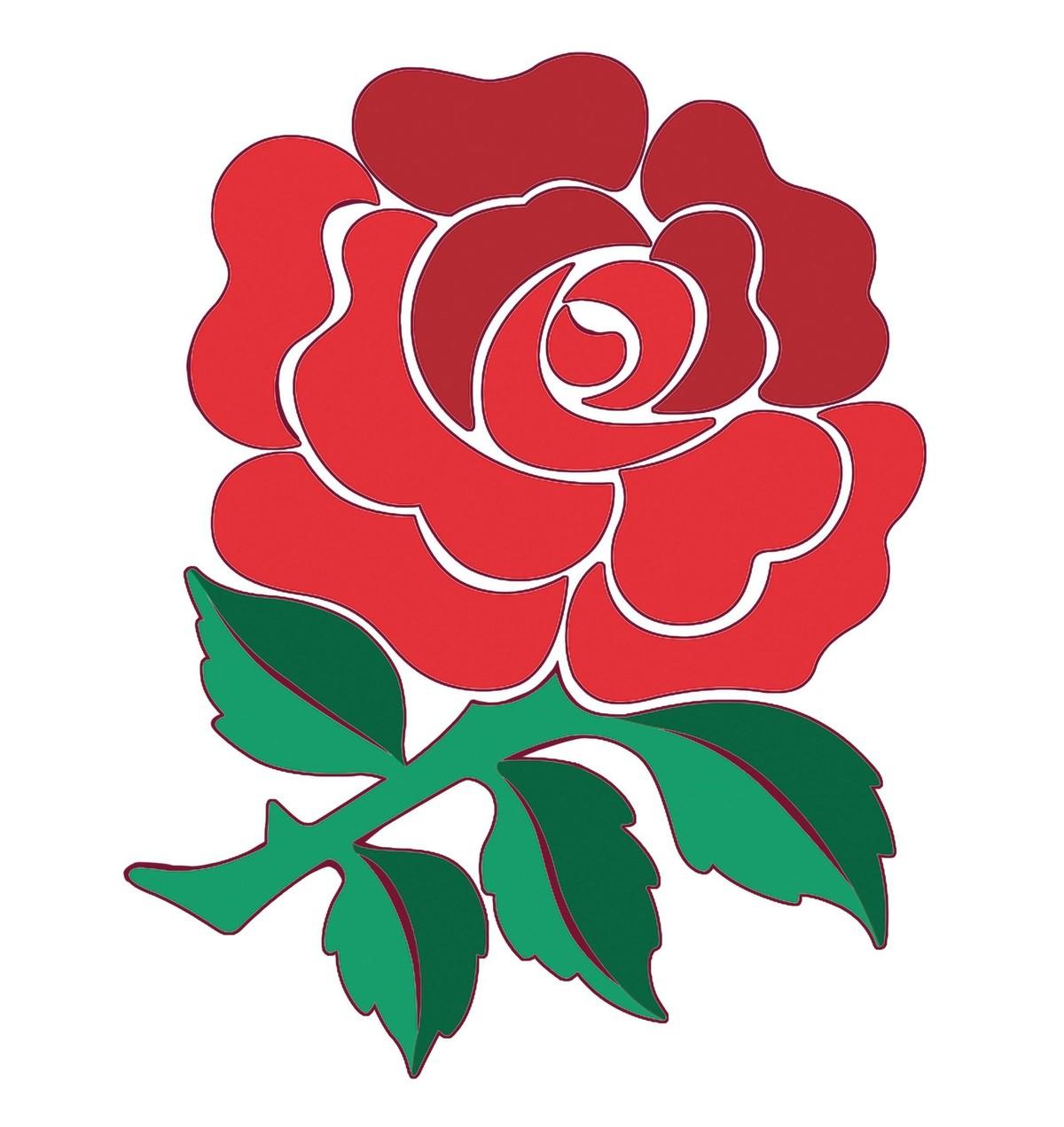 Rugby team emblem, a rose