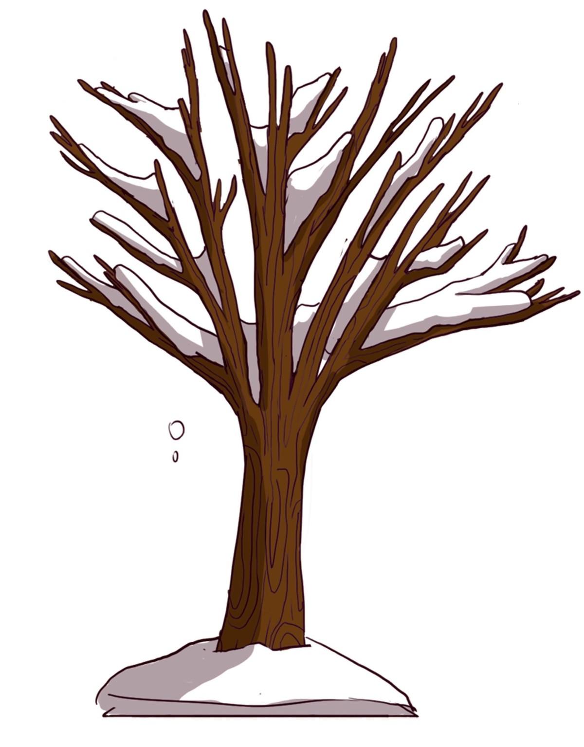 A leafless, snowy tree