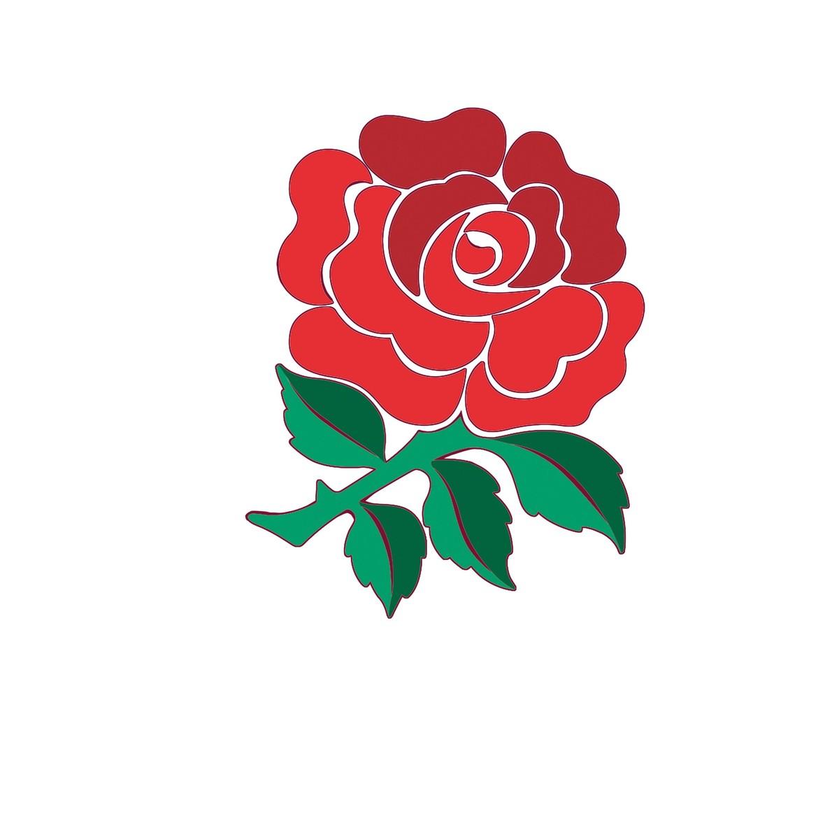 Rugby team emblem, a rose