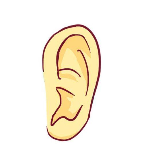 une oreille