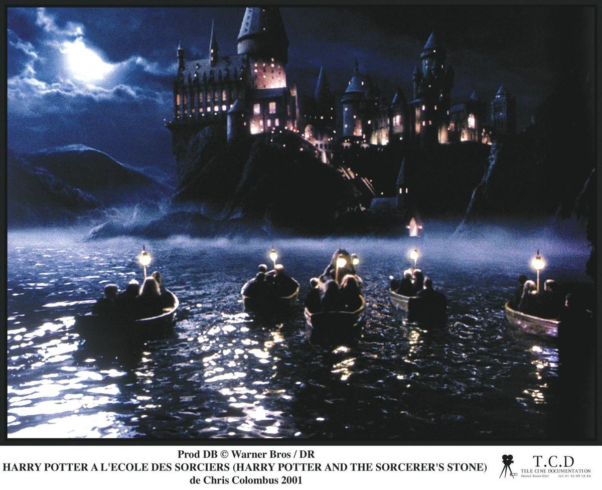Harry Potter à l'école des sorciers