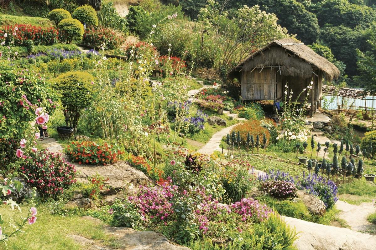 Un jardin à l'anglaise.
