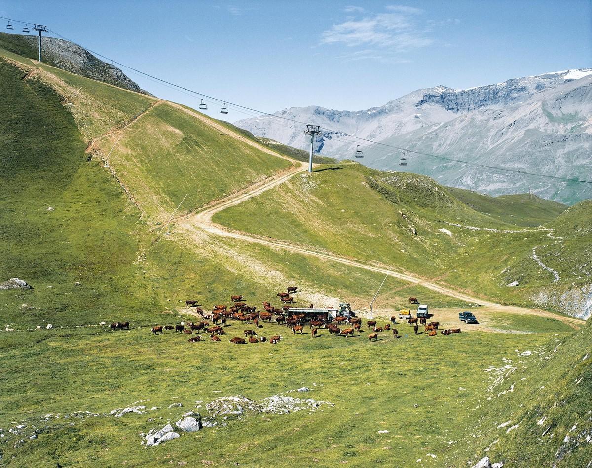 Un éleveur et son troupeau dans l'alpage à Tignes