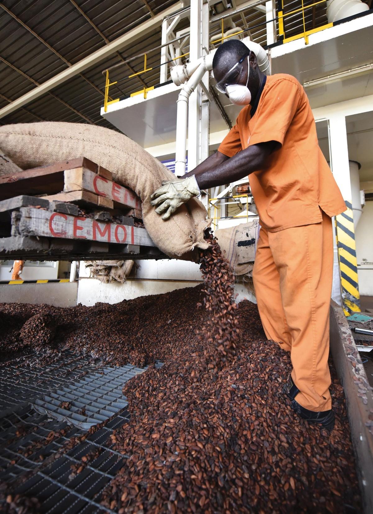 <stamp theme='his-green2'>Doc. 5</stamp> Une usine de transformation du cacao en Côte d'Ivoire