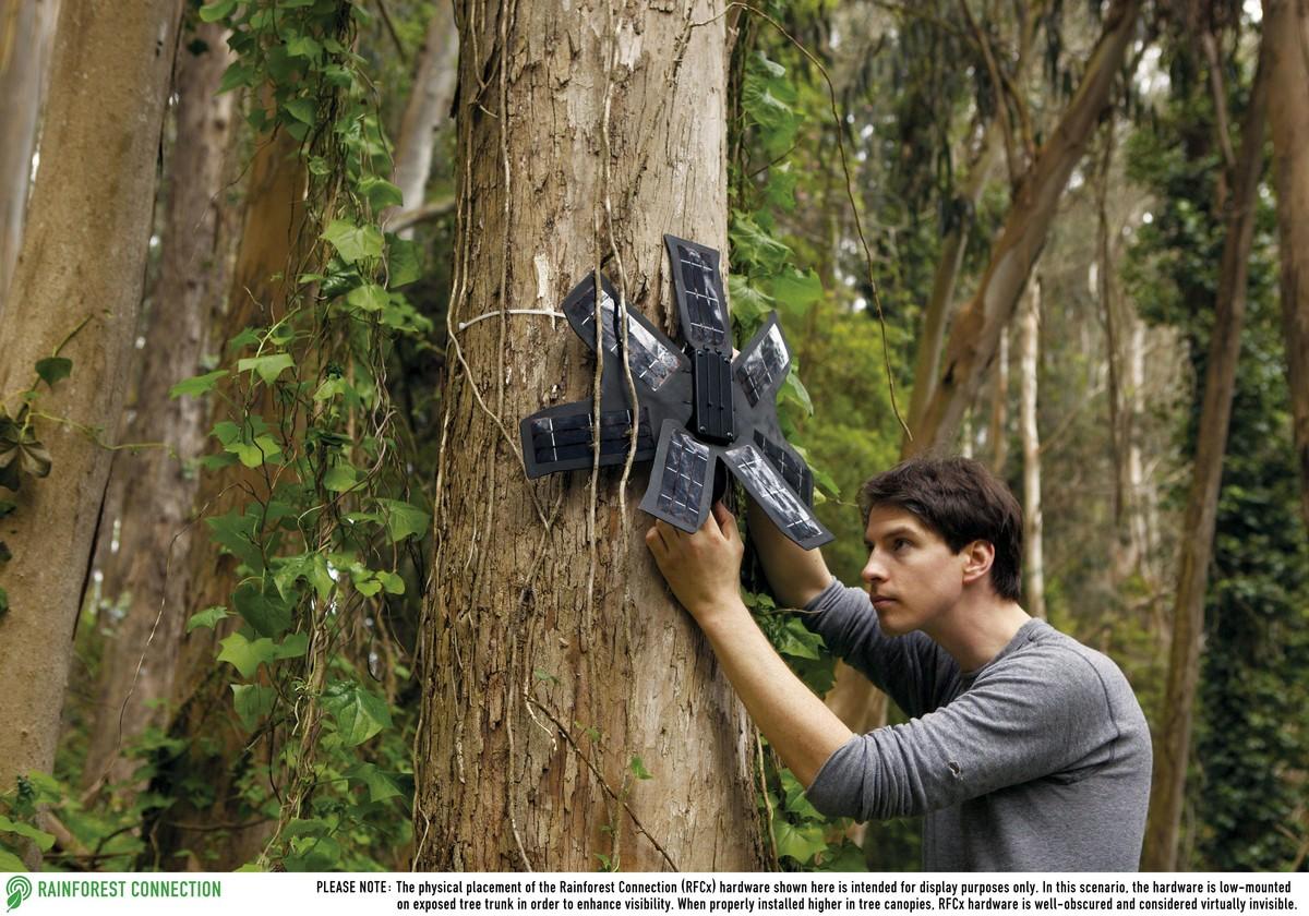 « Rainforest connexion », des téléphones portables pour lutter contre la déforestation, à Bornéo