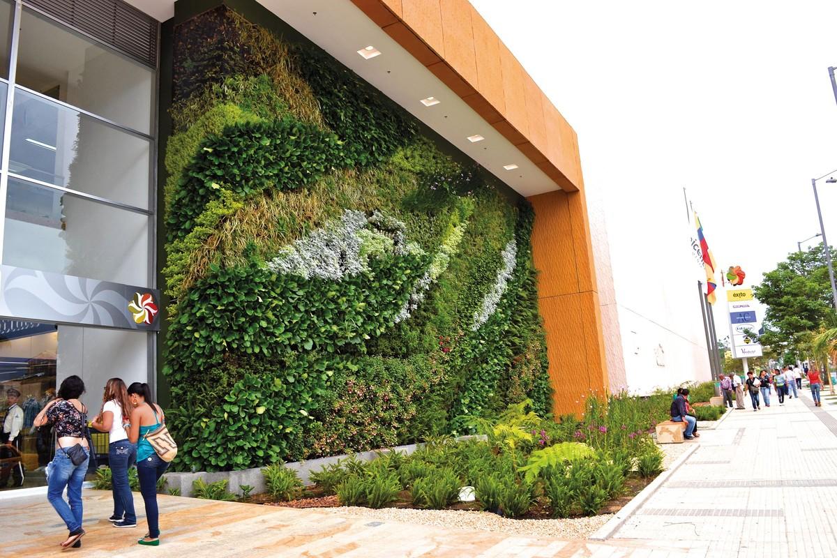 Mur végétal pour une meilleure isolation et économiser de l'énergie, en Équateur