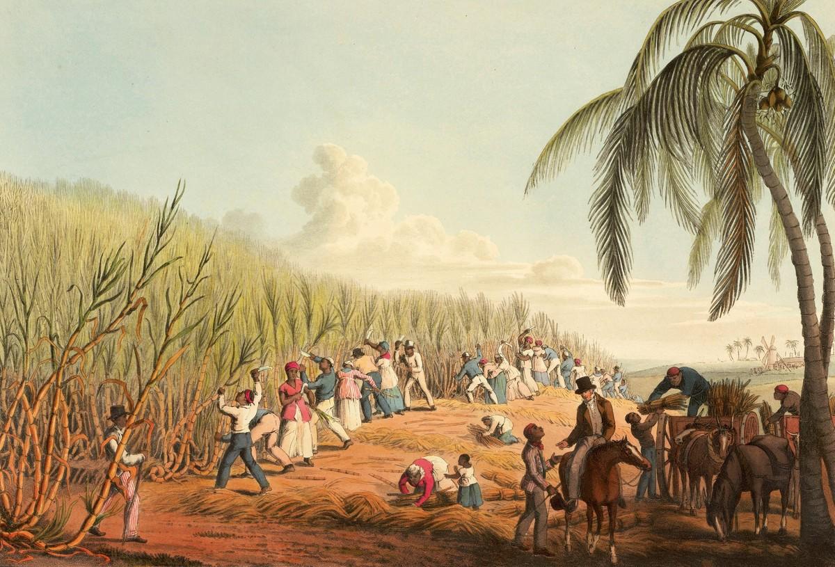 Doc. 1 : Le travail sur une plantation de canne à sucre aux Antilles