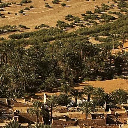 Doc. 3 L'oasis de Béni Abbès (Sahara algérien)