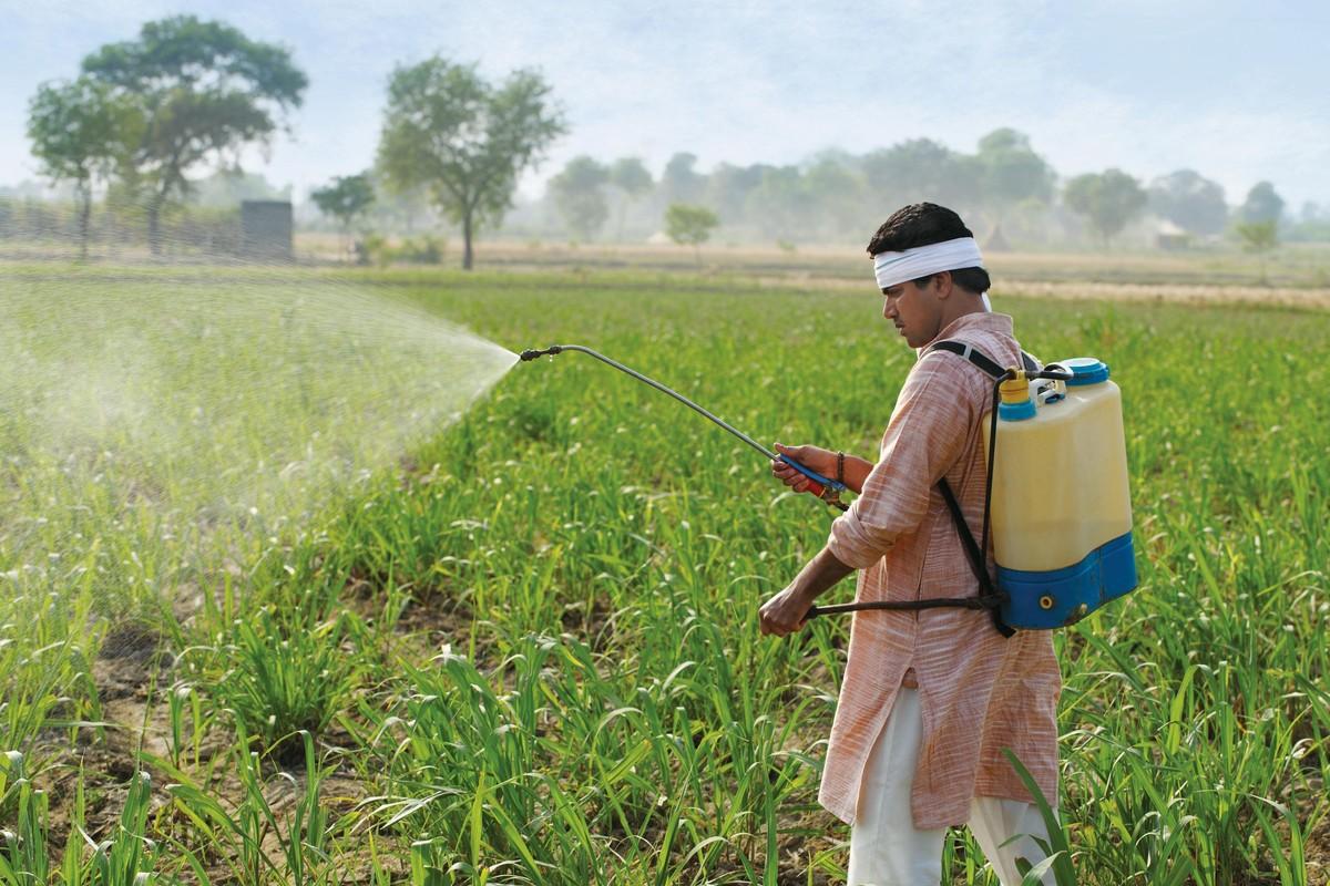 Épandage de pesticides dans un champ (Inde)