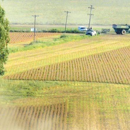 La récolte du soja près de Rojas (Argentine)