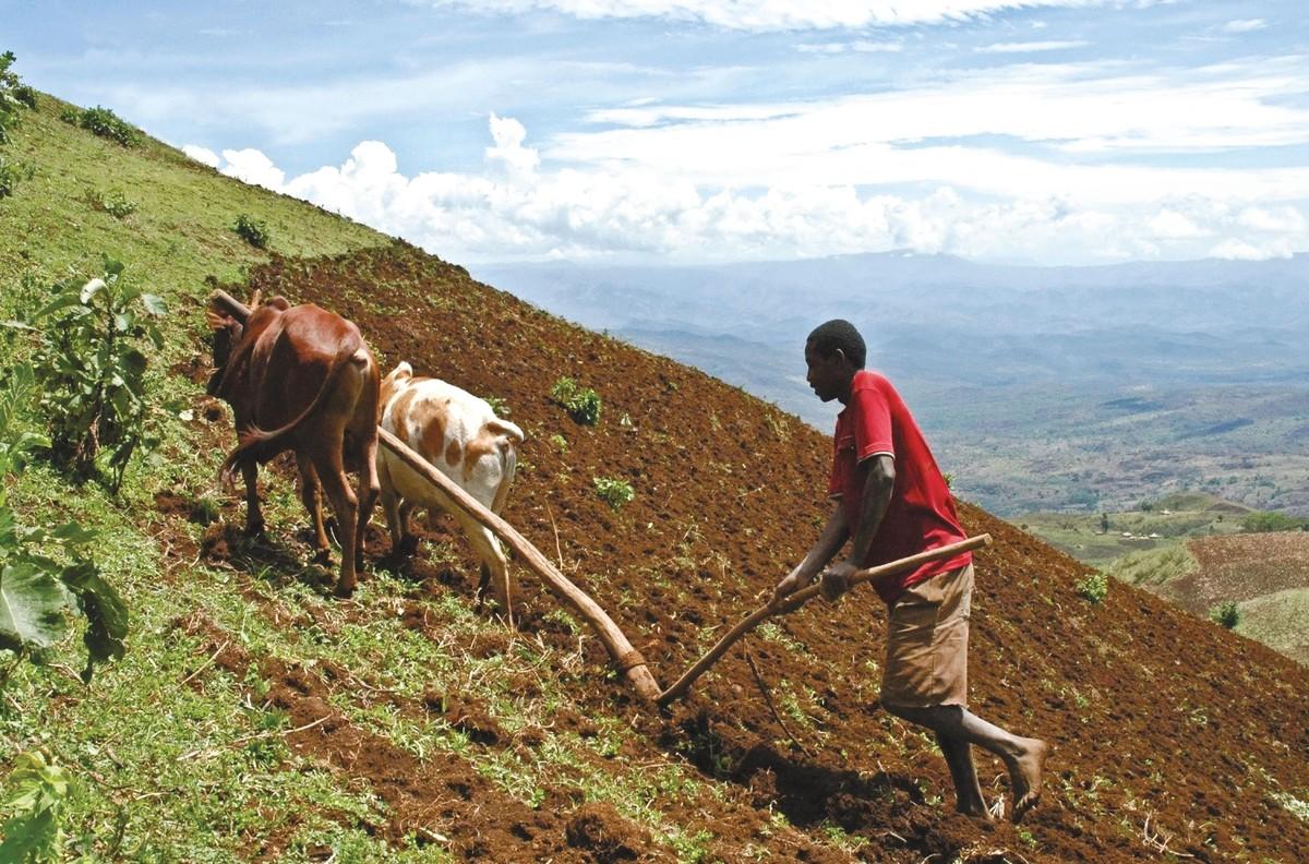 <stamp theme='his-green2'>Doc. 4</stamp> Un paysan cultive son champ dans les hautes terres éthiopiennes