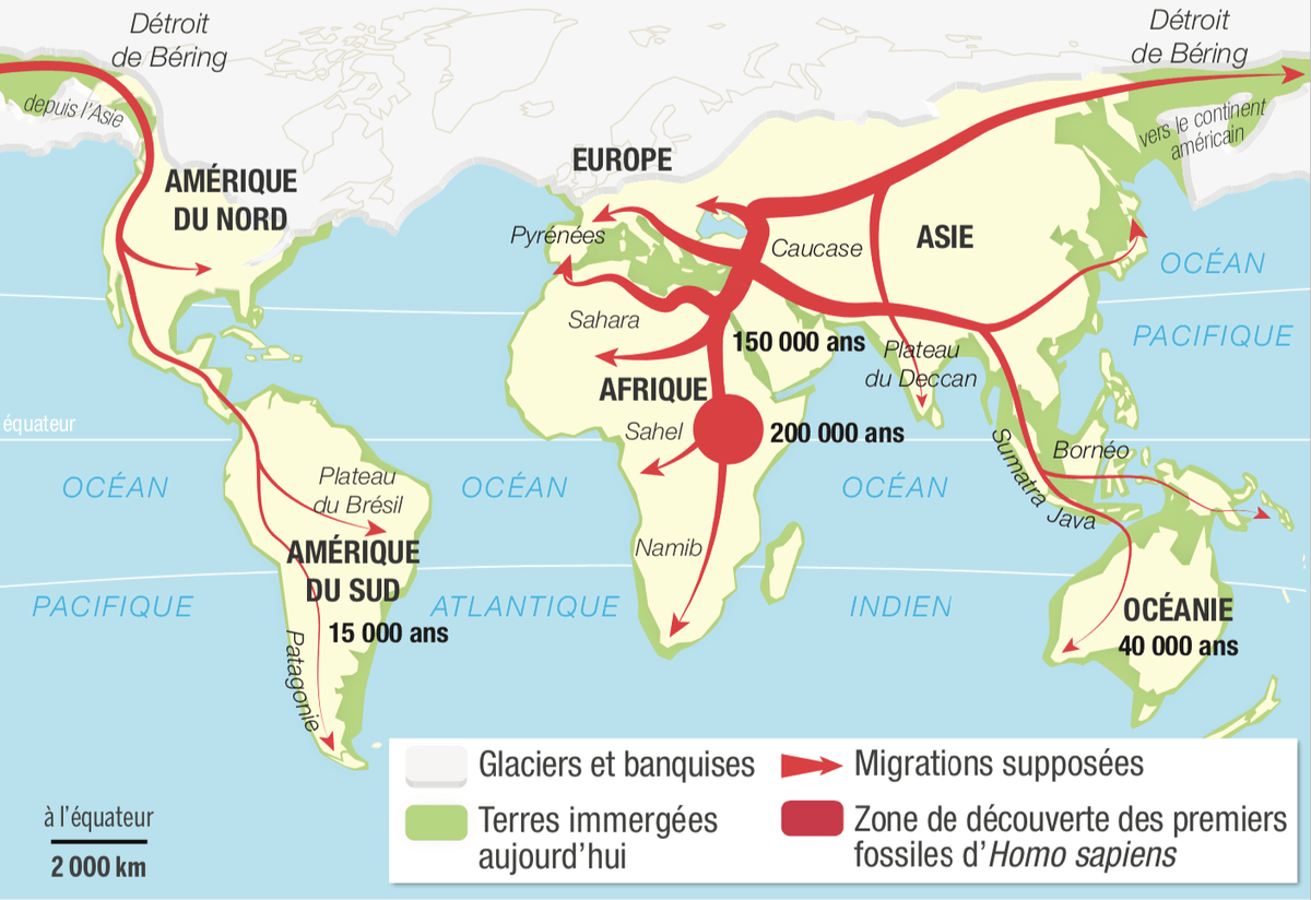 Les migrations d'Homo sapiens