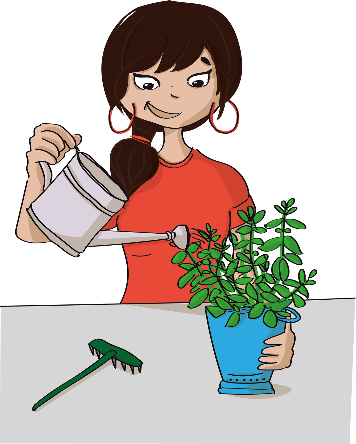 arroser les plantes