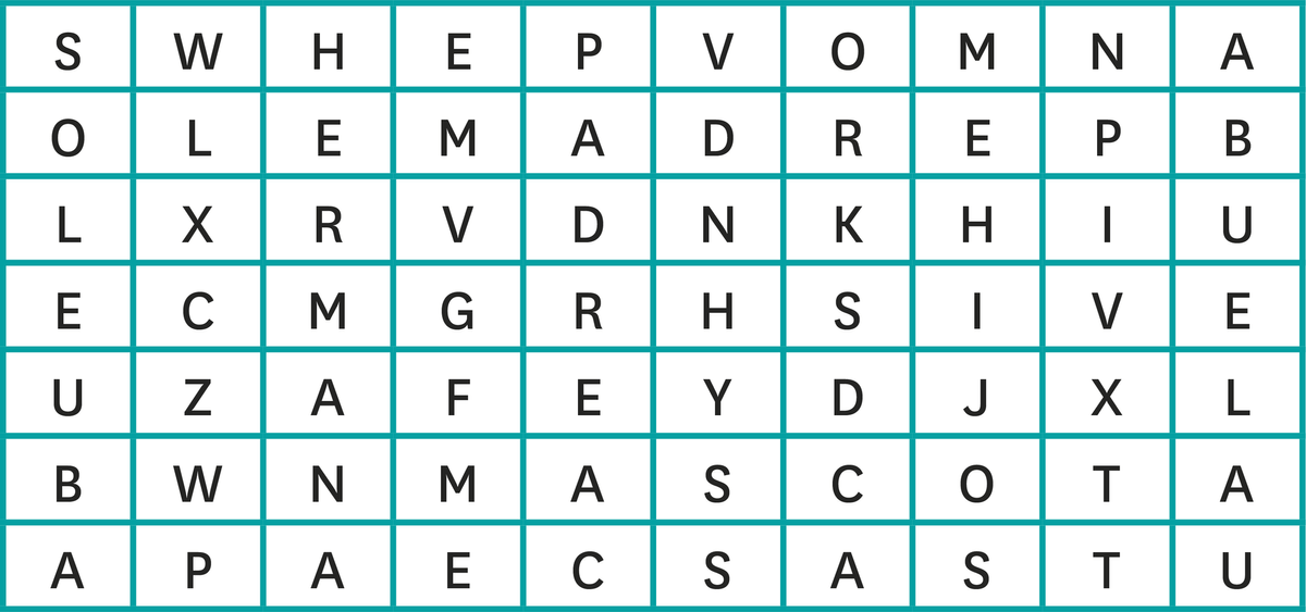 Sopa de letras