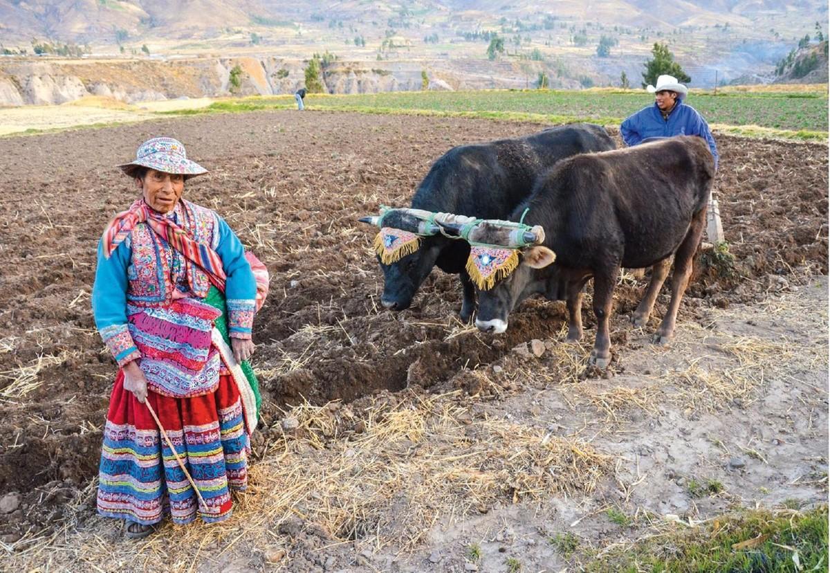 Agricultora