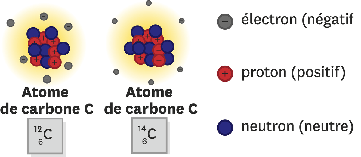 Doc. 3 Description de la composition des atomes de carbone 12 (de symbole 12C) et carbone (de symbole 14C).