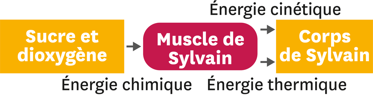 <stamp theme='pc-green1'>Doc. 2</stamp> Energie.