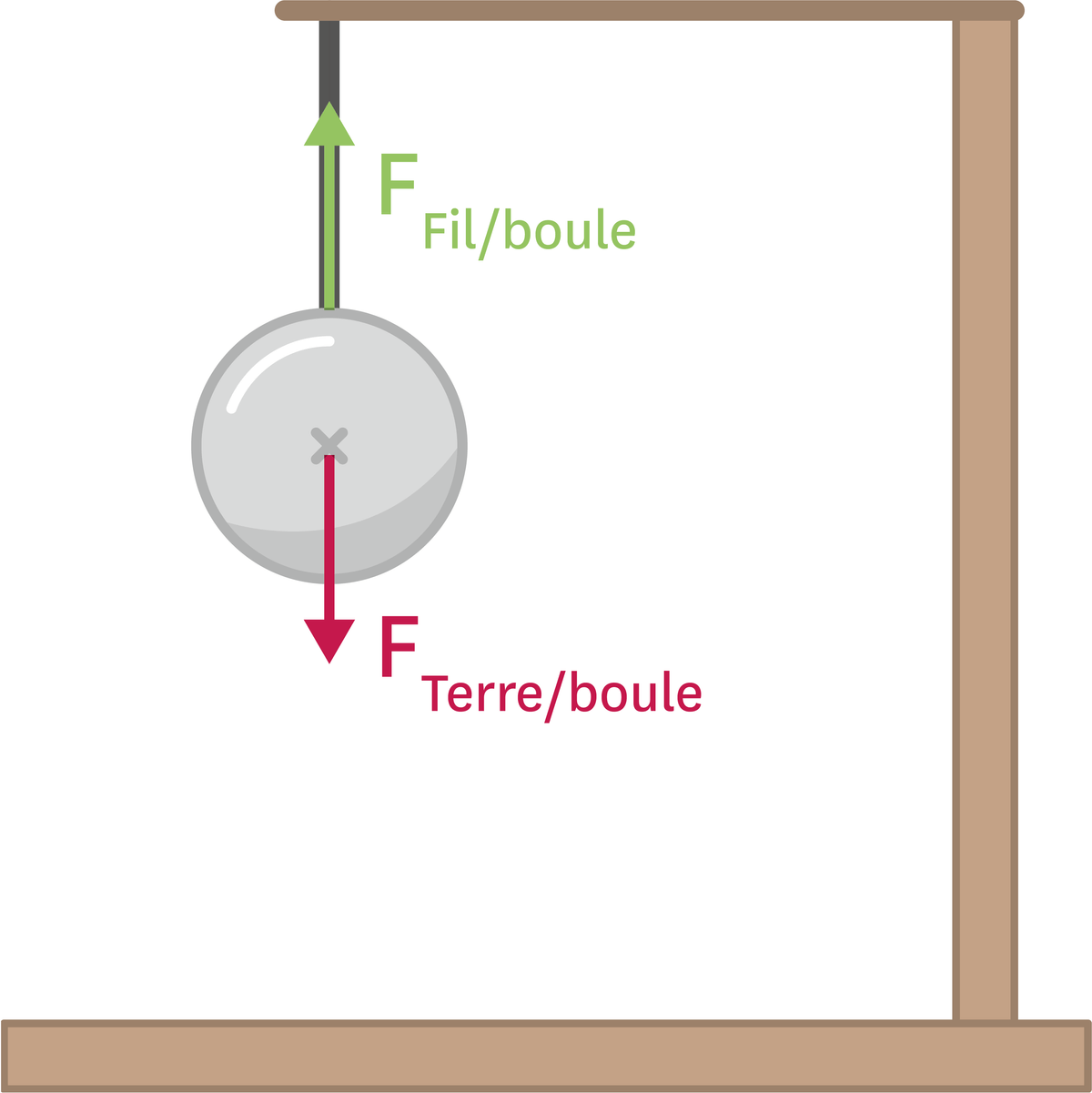 <stamp theme='pc-green1'>Doc. 2</stamp> Exemple d'équilibre des forces : forces subies par une boule suspendue à un fil.