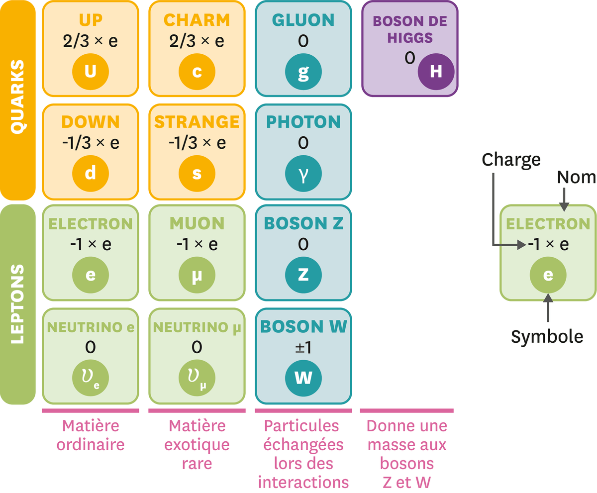 <stamp theme='pc-green1'>Doc. 1</stamp> Quelques-unes des 61 particules élémentaires du modèle standard.