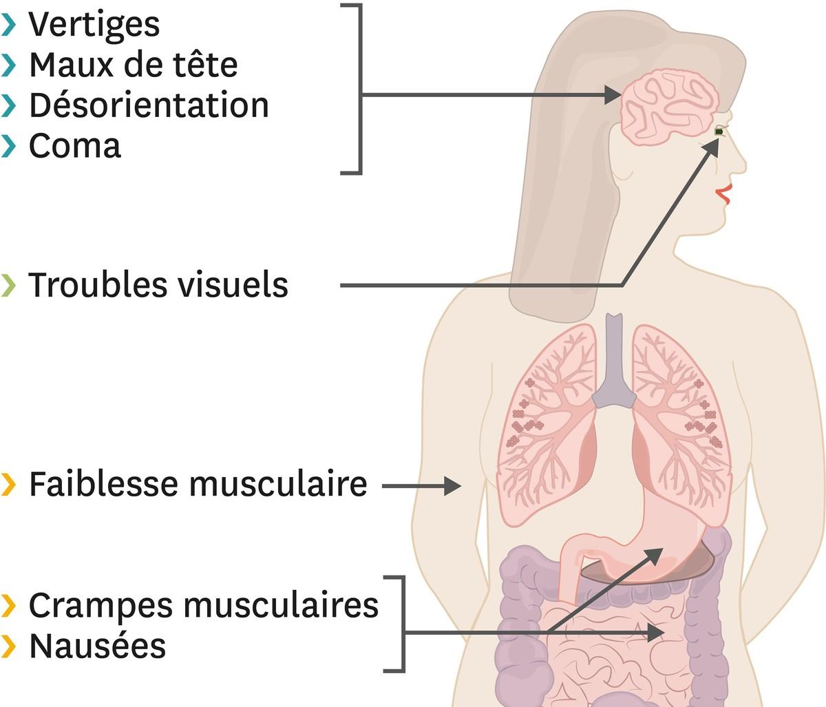 Doc. 2 Le monoxyde de carbone : invisible et inodore mais très dangereux.