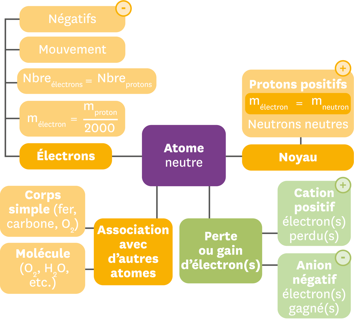 Exemple de carte mentale résumant les différentes entités chimiques à l'echelle microscopique.